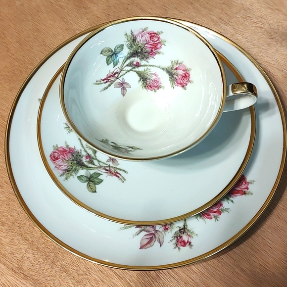 Sevelen Rheintal Suisse Cabbage Rose Tea Cup, Saucer & Dessert light academia